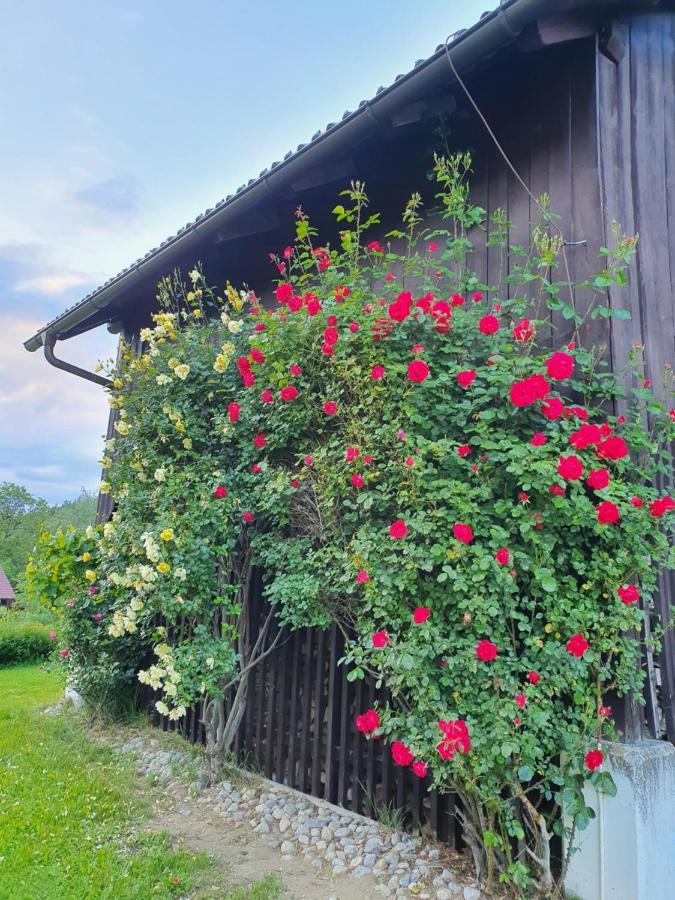 Charmantes Ferienhaus In Bester Lage コイチャッハ・アム・ゼー エクステリア 写真